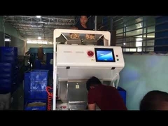 Cashew nut color sorter in processing line